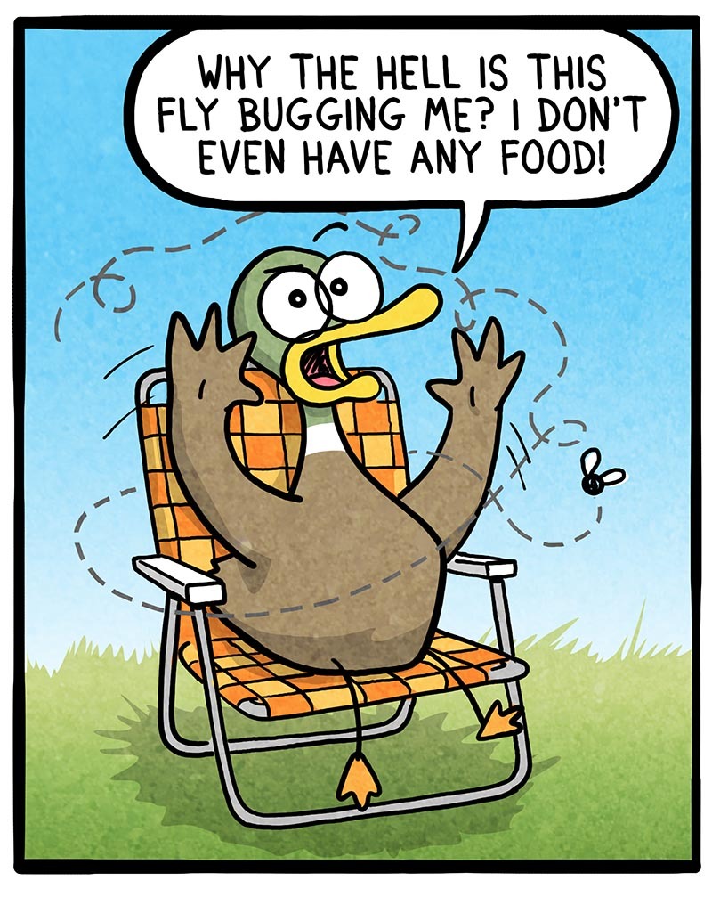 https://cdn.tinyview.com/fowl-language/2021/07/30/bugged-by-a-fly/Bugged-by-a-fly-1.jpg