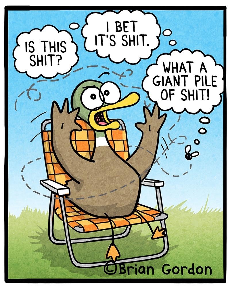 https://cdn.tinyview.com/fowl-language/2021/07/30/bugged-by-a-fly/Bugged-by-a-fly-2.jpg