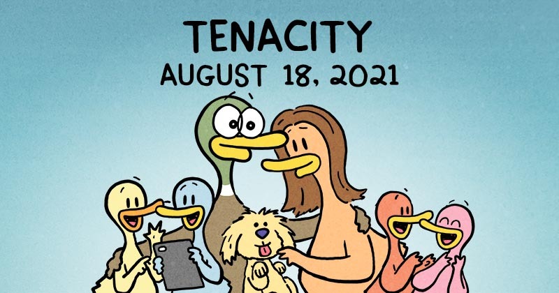Tenacity