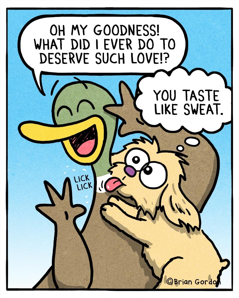 https://cdn.tinyview.com/fowl-language/2021/08/27/puppy-love/puppy-love.jpg