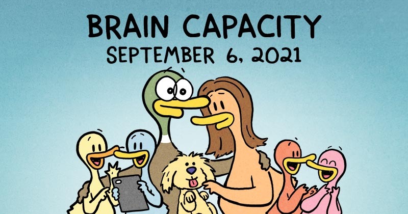 Brain Capacity