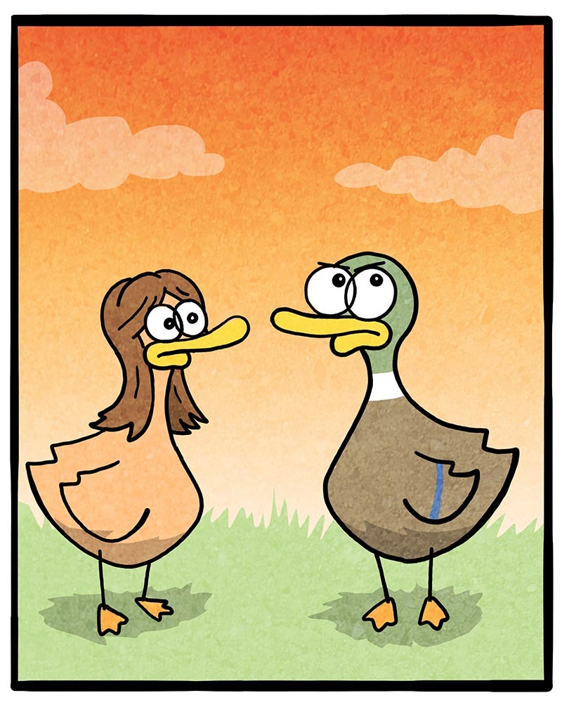 https://cdn.tinyview.com/fowl-language/2021/09/10/look-back-and-laugh/look-back-and-laugh-2.jpg