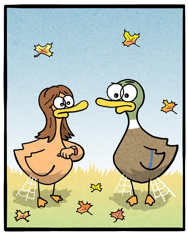 https://cdn.tinyview.com/fowl-language/2021/09/10/look-back-and-laugh/look-back-and-laugh-3.jpg