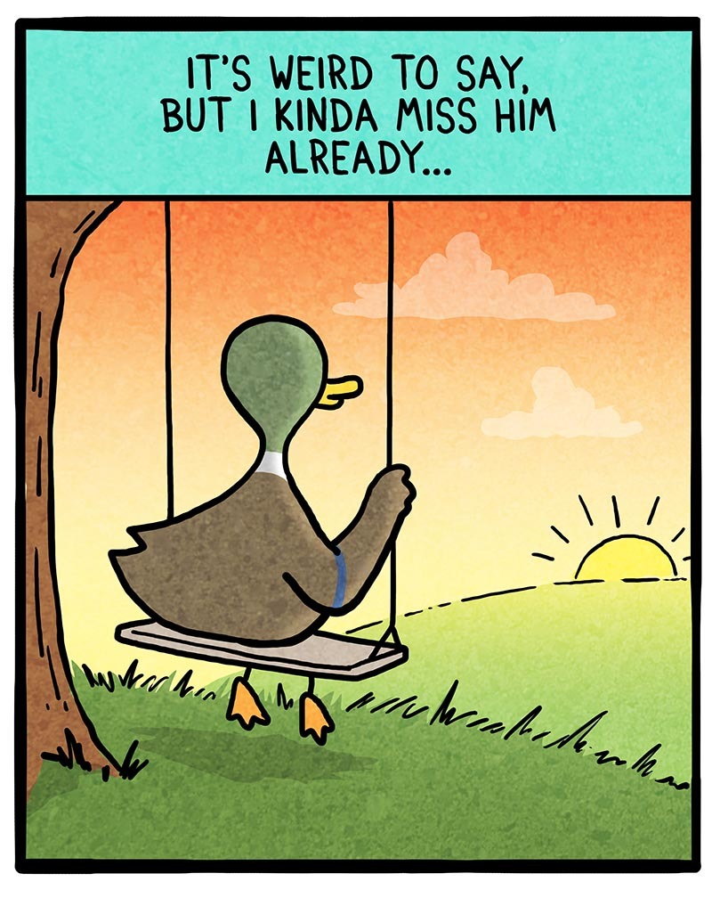 https://cdn.tinyview.com/fowl-language/2021/09/15/empty-nest/empty-nest-3.jpg