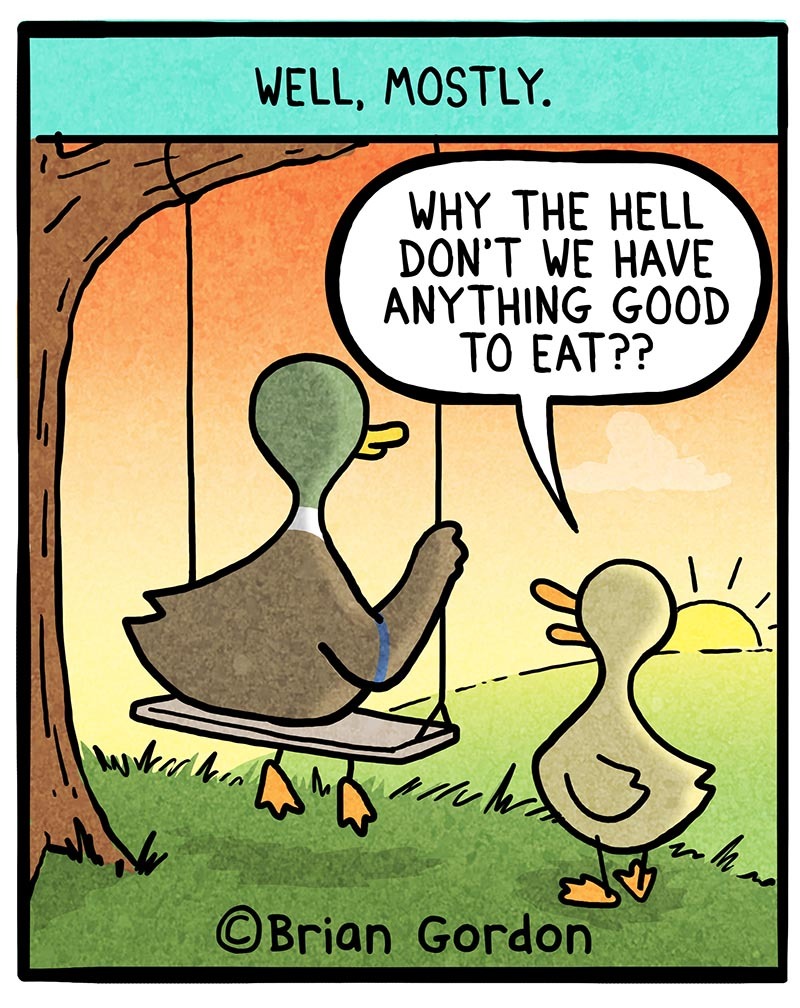 https://cdn.tinyview.com/fowl-language/2021/09/15/empty-nest/empty-nest-4.jpg