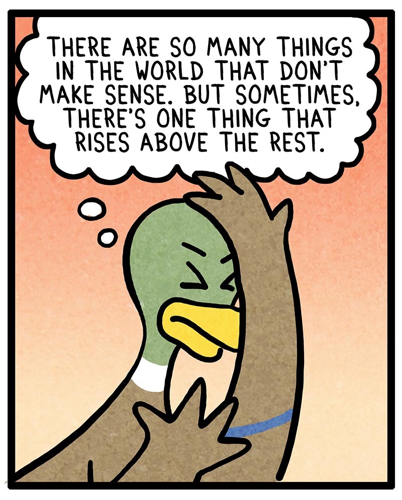 https://cdn.tinyview.com/fowl-language/2021/09/29/laces/LACES-1.jpg
