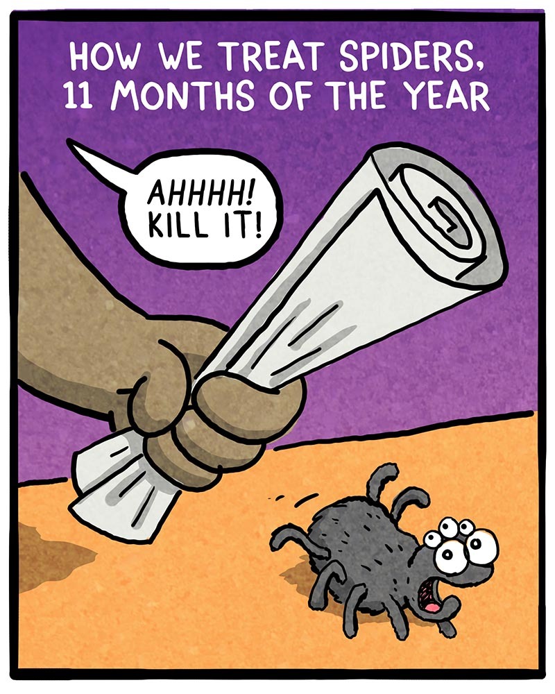 https://cdn.tinyview.com/fowl-language/2021/10/22/how-we-treat-spiders/HOW-WE-TREAT-SPIDERS-1.jpg