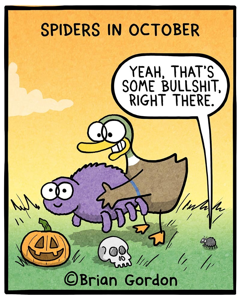 https://cdn.tinyview.com/fowl-language/2021/10/22/how-we-treat-spiders/HOW-WE-TREAT-SPIDERS-2.jpg