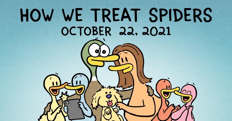 How We Treat Spiders