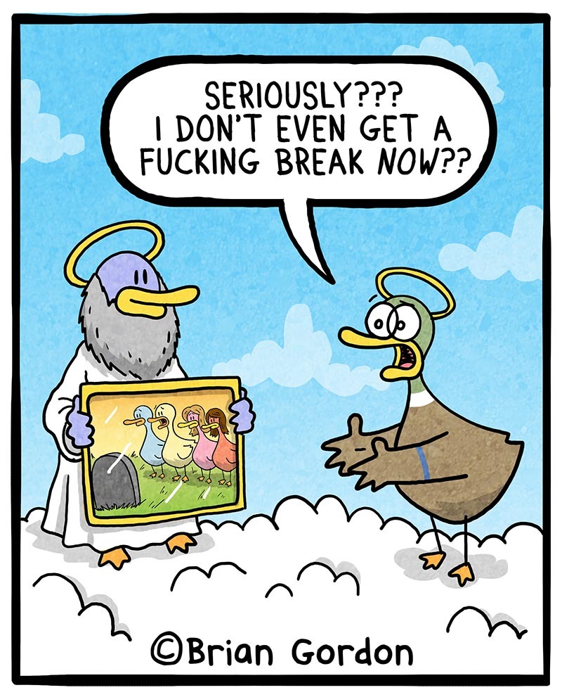 https://cdn.tinyview.com/fowl-language/2021/12/17/guardian-angel/guardian-angel-2.jpg