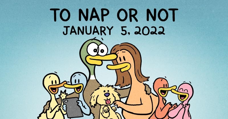 To Nap or Not