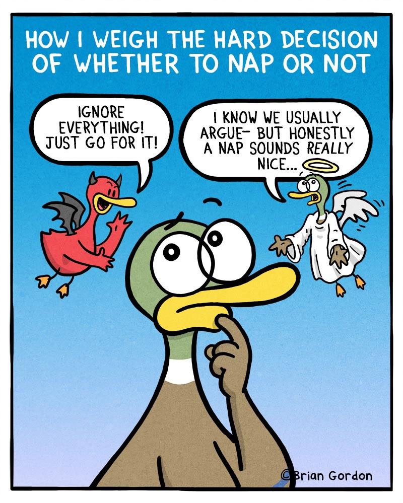 https://cdn.tinyview.com/fowl-language/2022/01/05/to-nap-or-not/to-nap-or-not.jpg