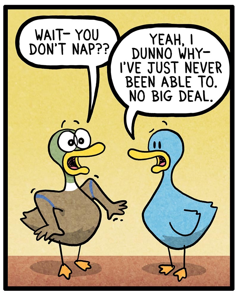 https://cdn.tinyview.com/fowl-language/2022/01/31/cant-nap/cant-nap-1.jpg