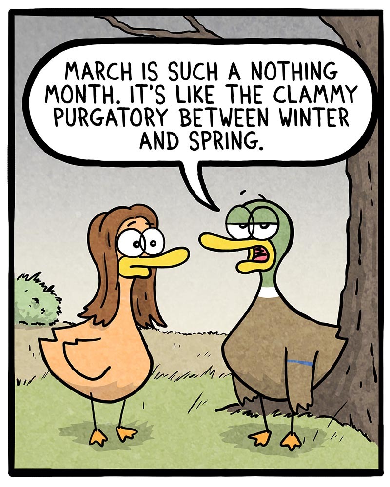 https://cdn.tinyview.com/fowl-language/2022/03/04/stupid-march/stupid-march-1.jpg