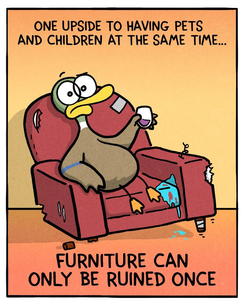 https://cdn.tinyview.com/fowl-language/2022/03/25/furniture/furniture.jpg