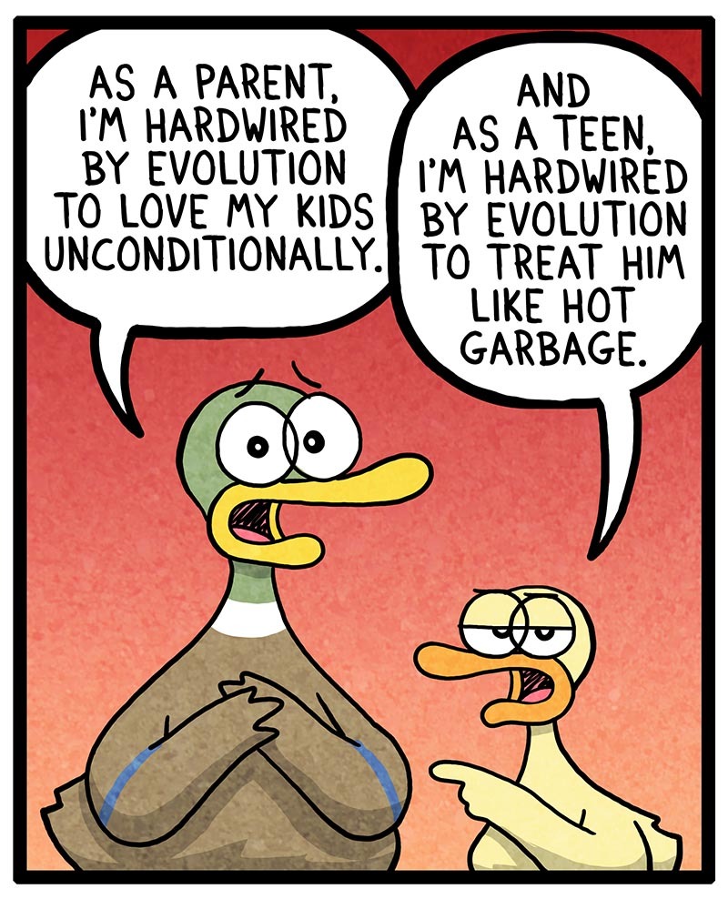 https://cdn.tinyview.com/fowl-language/2022/04/04/evolution/evolution-1.jpg