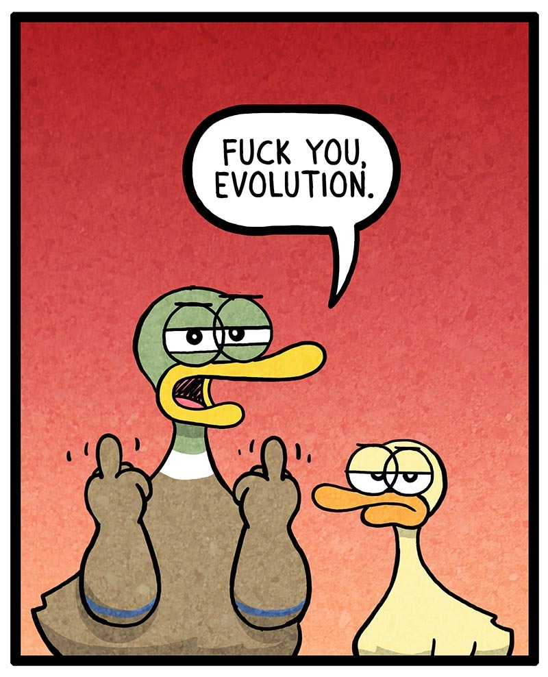https://cdn.tinyview.com/fowl-language/2022/04/04/evolution/evolution-2.jpg