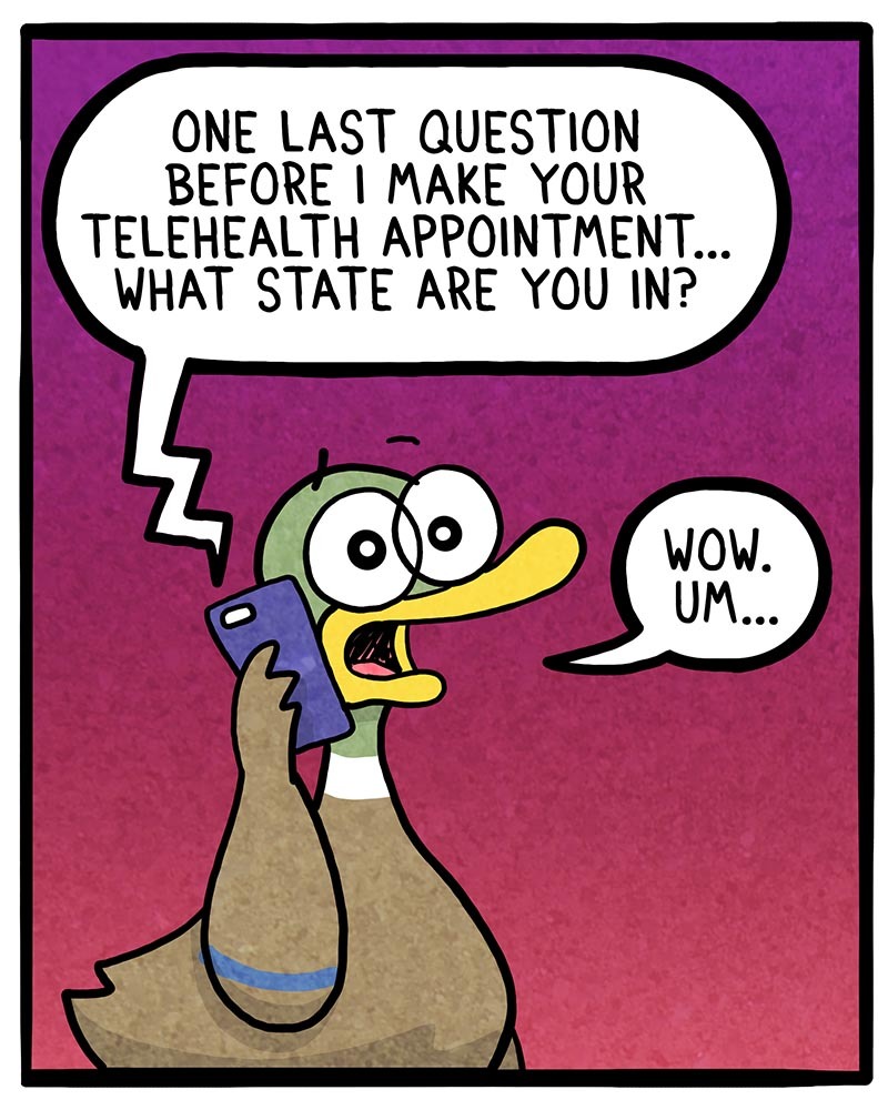 https://cdn.tinyview.com/fowl-language/2022/04/08/the-state-i-m-in/the-state-Im-in-1.jpg