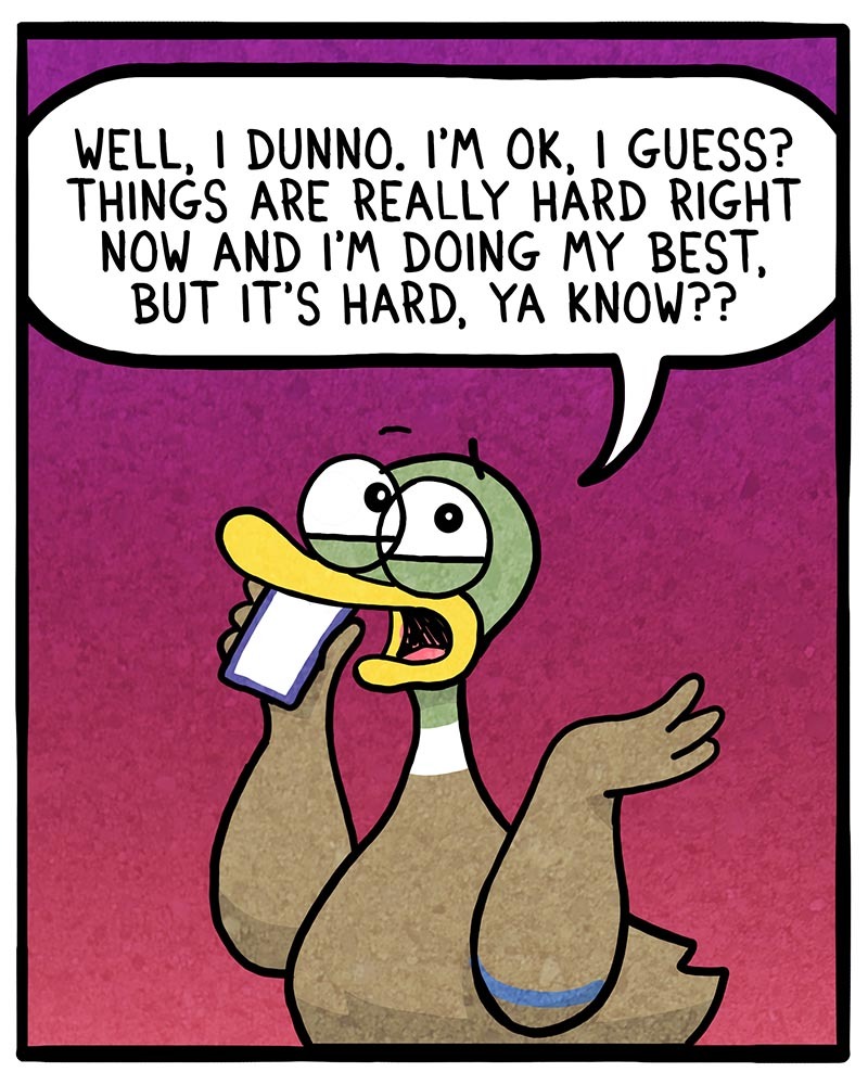 https://cdn.tinyview.com/fowl-language/2022/04/08/the-state-i-m-in/the-state-Im-in-2.jpg