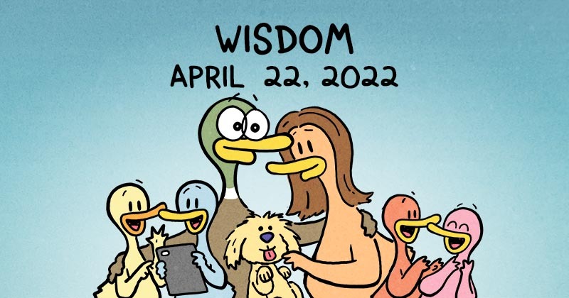 Wisdom