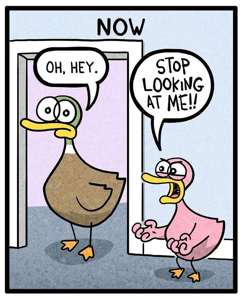 https://cdn.tinyview.com/fowl-language/2022/04/27/looking/looking-2.jpg