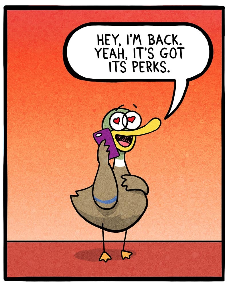 https://cdn.tinyview.com/fowl-language/2022/05/13/perks/Perks-4.jpg