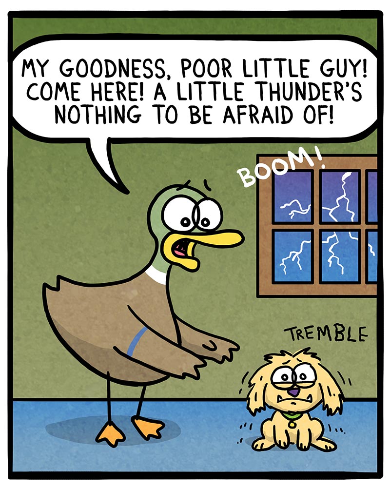 https://cdn.tinyview.com/fowl-language/2022/06/15/soothing/soothing-1.jpg
