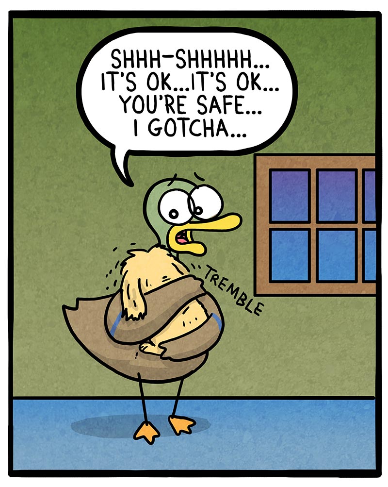 https://cdn.tinyview.com/fowl-language/2022/06/15/soothing/soothing-2.jpg