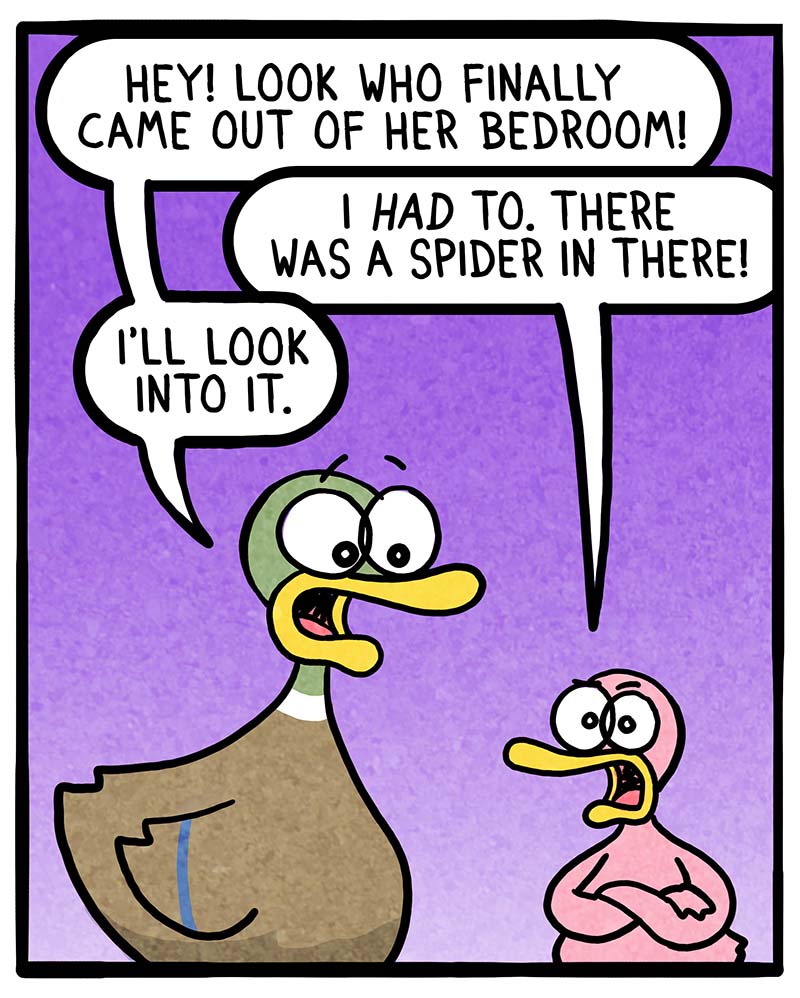 https://cdn.tinyview.com/fowl-language/2022/06/20/spiders/spider-1.jpg