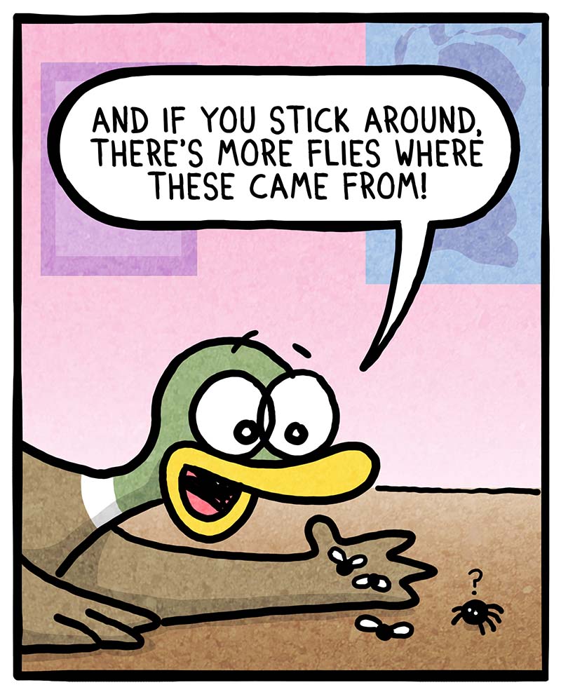 https://cdn.tinyview.com/fowl-language/2022/06/20/spiders/spider-2.jpg