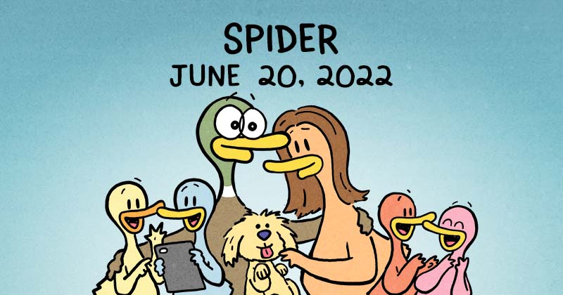 Spiders