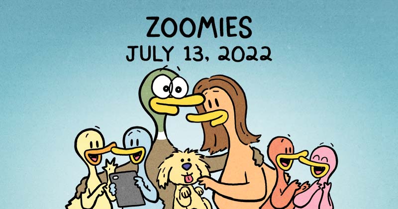 Zoomies