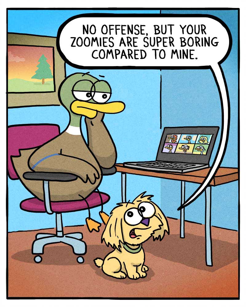 https://cdn.tinyview.com/fowl-language/2022/07/12/zoomies/zoomies.jpg