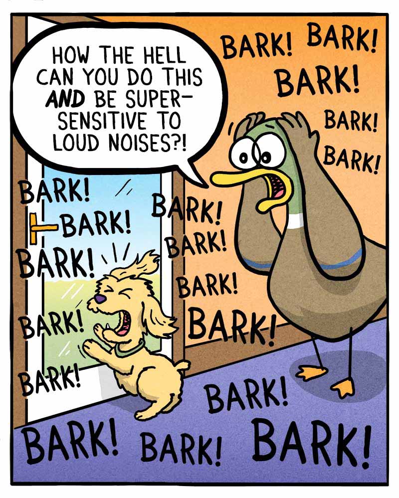 https://cdn.tinyview.com/fowl-language/2022/08/15/noises/noises.jpg