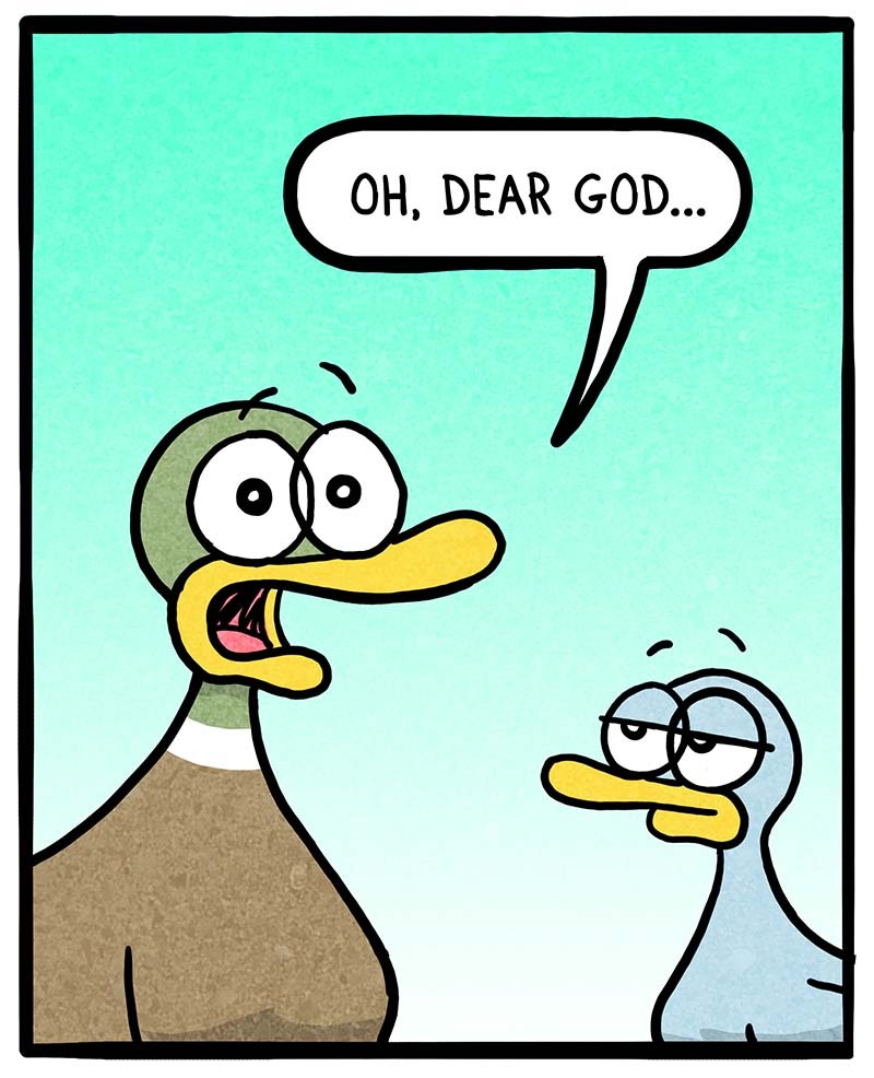 https://cdn.tinyview.com/fowl-language/2022/08/31/new-music/new-music-4.jpg