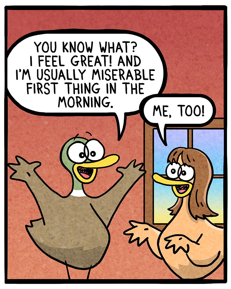 https://cdn.tinyview.com/fowl-language/2022/09/06/a-good-night-s-sleep/a-good-nights-sleep-1.jpg