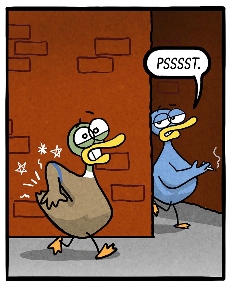 https://cdn.tinyview.com/fowl-language/2022/09/16/my-drug-of-choice/3812E101-C8F0-4A42-A11E-16D9D59033BF.jpeg