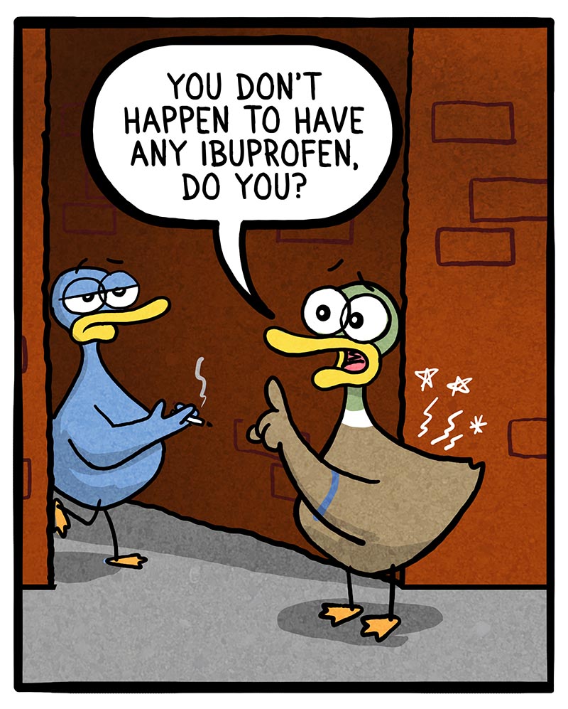 https://cdn.tinyview.com/fowl-language/2022/09/16/my-drug-of-choice/3FA30A55-6EC5-4935-A150-6BBF958CE079.jpeg