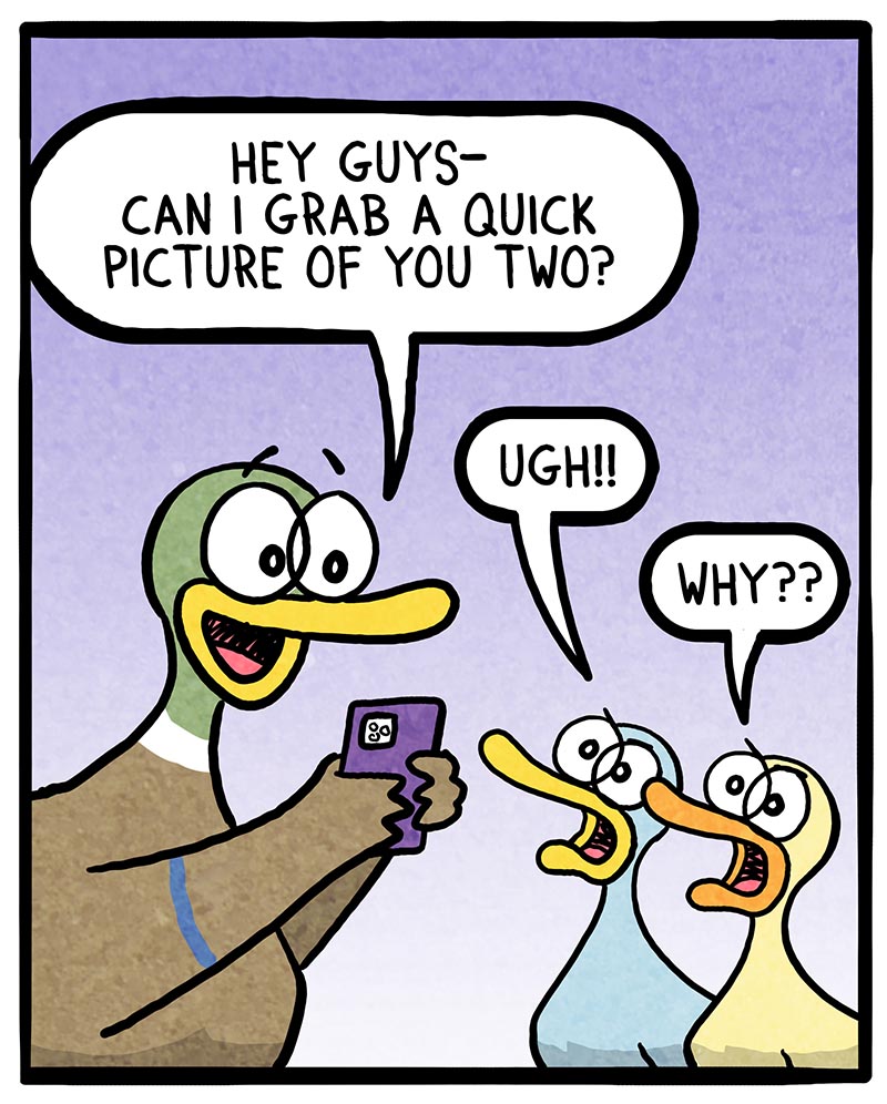 https://cdn.tinyview.com/fowl-language/2022/09/30/picture-complaints/picture-complaints-1.jpg