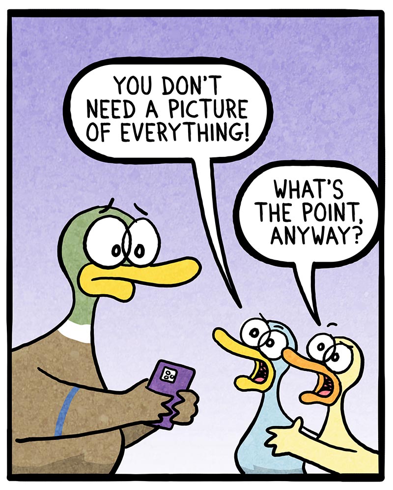 https://cdn.tinyview.com/fowl-language/2022/09/30/picture-complaints/picture-complaints-2.jpg