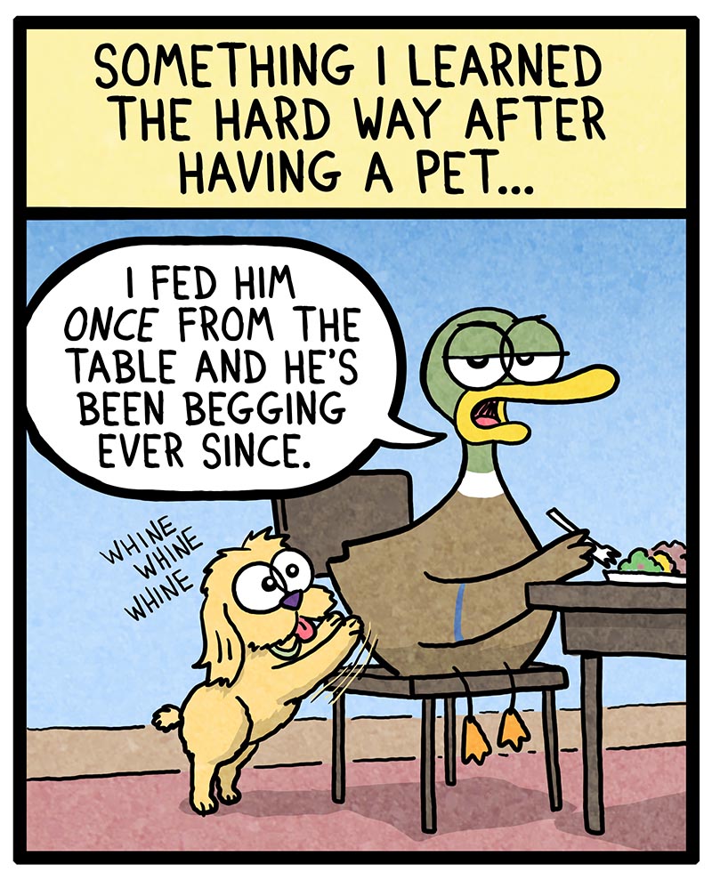 https://cdn.tinyview.com/fowl-language/2022/10/03/learning-from-pets/learning-from-pets-1.jpg