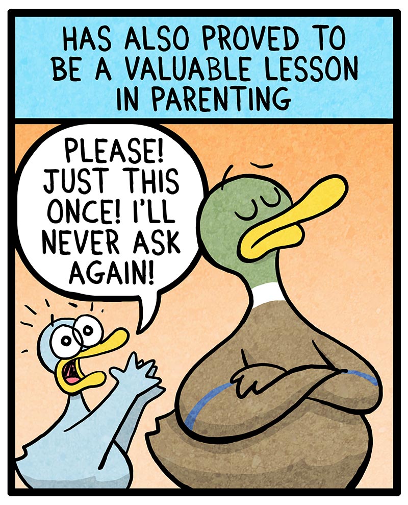 https://cdn.tinyview.com/fowl-language/2022/10/03/learning-from-pets/learning-from-pets-2.jpg