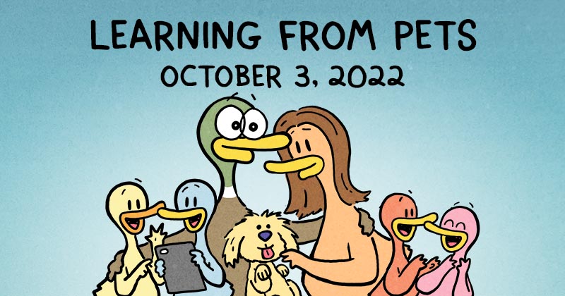 Learning From Pets