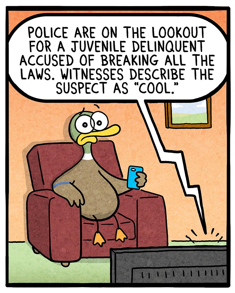 https://cdn.tinyview.com/fowl-language/2022/10/24/cool-friends/Cool-Friends-2.jpg