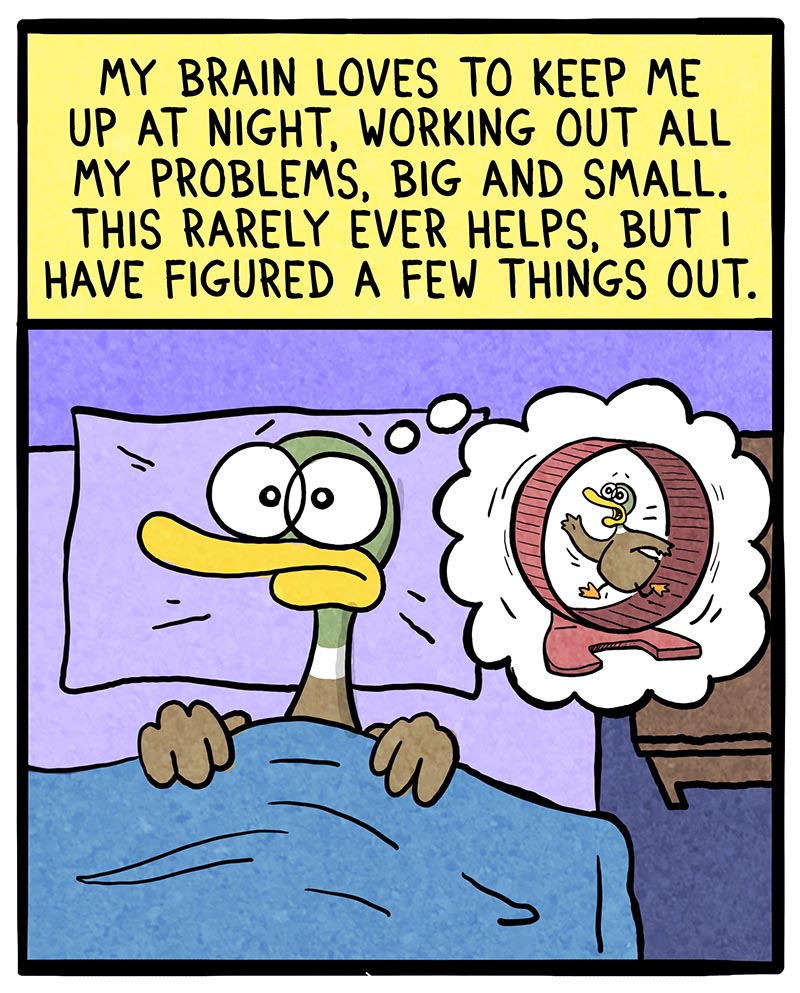 https://cdn.tinyview.com/fowl-language/2022/11/02/insomnia/insomnia-1.jpg