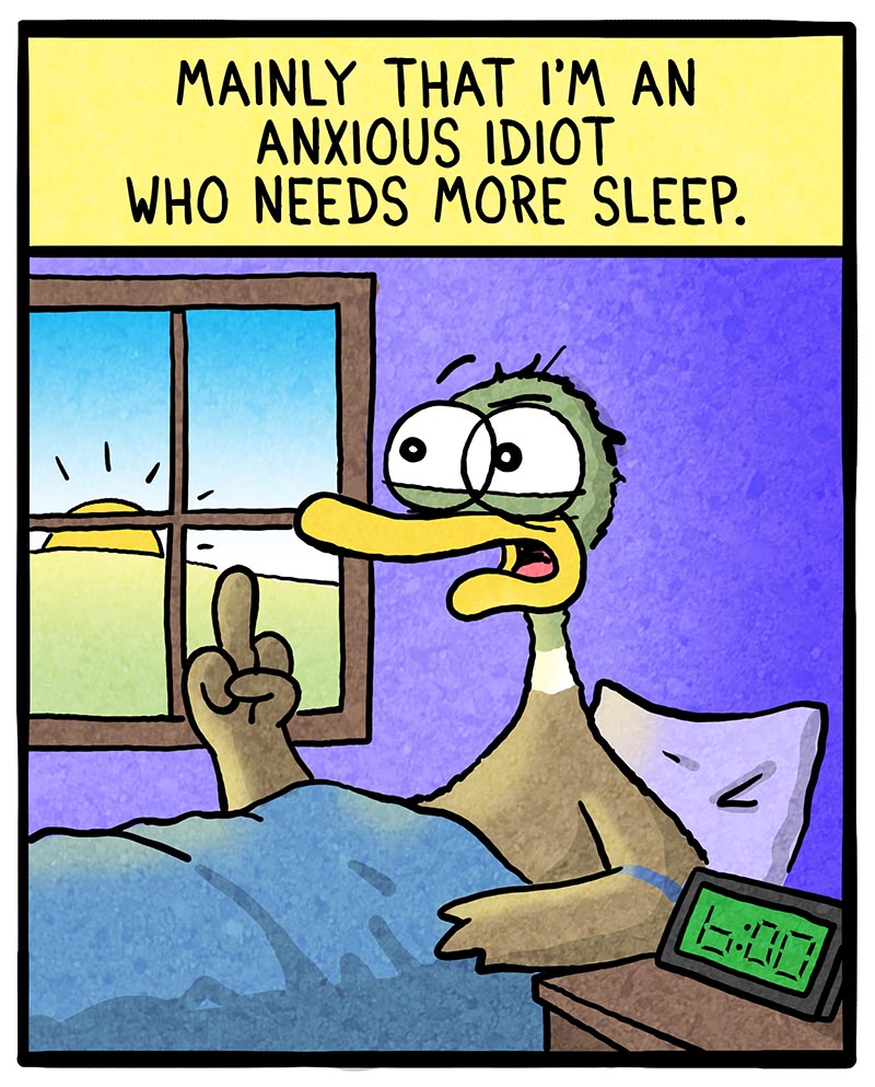 https://cdn.tinyview.com/fowl-language/2022/11/02/insomnia/insomnia-2.jpg