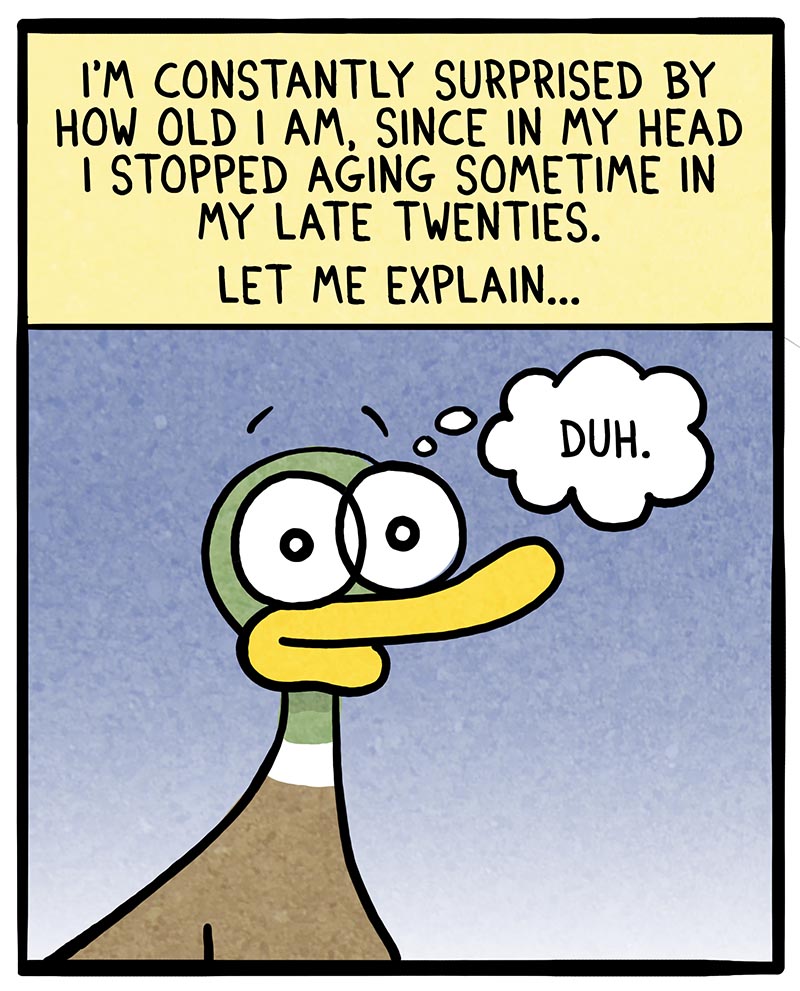 https://cdn.tinyview.com/fowl-language/2022/11/04/how-old-am-i/how-old-am-I-1.jpg