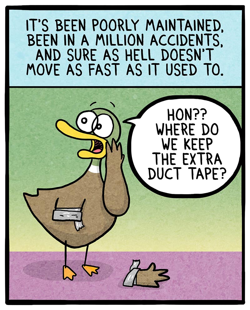 https://cdn.tinyview.com/fowl-language/2022/11/04/how-old-am-i/how-old-am-I-3.jpg