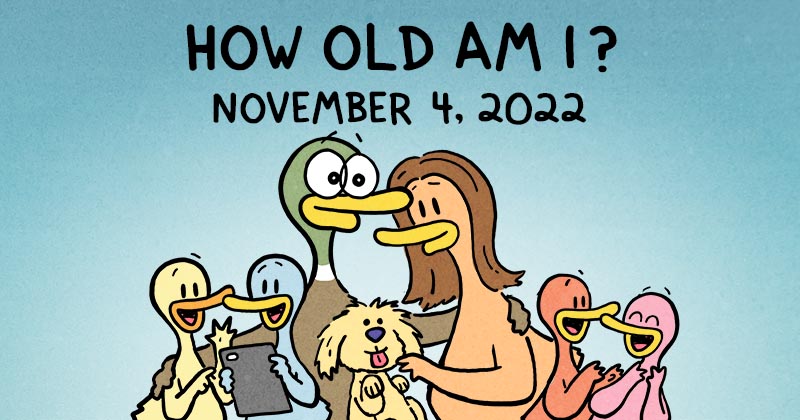 How Old Am I?