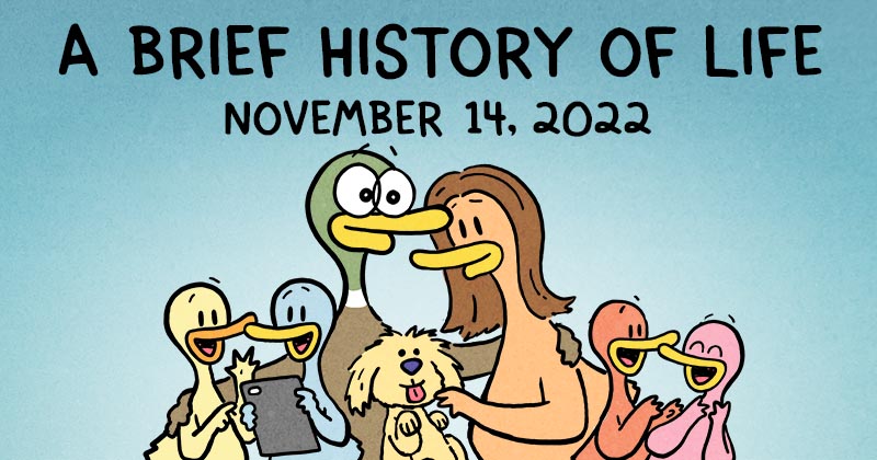 A Brief History of Life